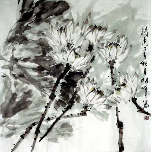 2011624212530789